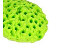 Generic 4 Colors Soft Body Sponge Ball for Cleaning Skin - Ideal for Shower & Spa, Hydrophilic Polyurethane (Green Spider)