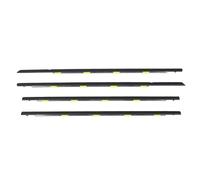 Generic 4 Pcs Weatherstrip Seal for DX 4D 1996-2000 Noise Reducing Leakproof Trim Moulding Strips
