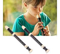 Generic 8 Hole Baroque Recorder Soft Sound for Beginner Practice with Cleaning Tool for Music Lovers ABS Key of C for British/German Style Players (German G)