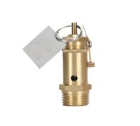 Generic A21W-16T Compressor Safety Valve Safety Pressure Valve Safety Valve for Electric/Coal-fire Boiler Steam Generator 1/2(0.3mpa (3 kg))