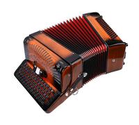 Generic Accordion 69 Keys 96 Bass, Chromatic Scale F B E Tuning Acordeon Professional Accordion for Beginners & Players