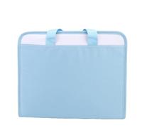 Generic Accordion File Organizer with Handle 13 Pockets Organize A4 Paper School Office Blue