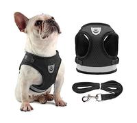 Generic Adjustable Mesh Breathable Dog Harness Set for Small Dogs and Cats, Reflective Leash Vest for Walking the Dog, Puppy Outdoor Vest (X-Small)