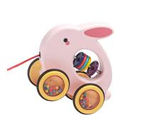 Generic Adorable Kids Pull Along Toy - Enhance Motor Skills and Hand-eye Coordination, Recommended for Children 18 Months and Older (Generic4nfzd7ev3c-10342478)