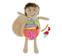 Generic Anatomy Doll, Human Body Organs Preschool Educational Organ Plush Toys For Kids Kids Anatomy Toys For Learning Doll Human Body (Boys of human organs)