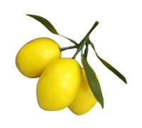 Generic Artificial Lemon Decoration Lifelike Fake Fruit Model for Photography Home and Simulation Lemon Realistic Citrus Display for Kitchen and Events