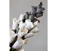 Generic Artificial White Foxglove Stem, Faux Silk White Wild Flower, Green & White Fox Gloves 80cm, Realistic Likelike Foxgloves, Fake Flower Greenery, Spring, Summer Fake Flower Stem, FACA-FX-80-WH