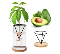 Generic Avocado Growing Kit, Glass Vase with Metal Holder, Avocado Seed Starter Vase, Black, Indoor, Medium