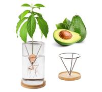 Generic Avocado Growing Kit, Glass Vase with Metal Holder, Indoor, Medium, Grey