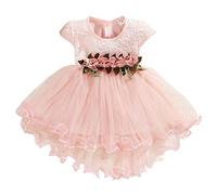 Generic Baby Girls Embroidered Ruffled Lace Dress Tulle Tutu Flower Princess Pageant Bridesmaid Wedding Birthday Party Cap Sleeves Dress Baby Baptism Christening Gown (Pink, 18-24 Months)