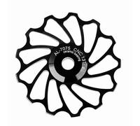 Generic Backer Derailleur Roller, 1 Pair of Rear Strap, Bicycle for Most Mountain Bike Bike Repairs to Replace the Speed Circuit (13T)