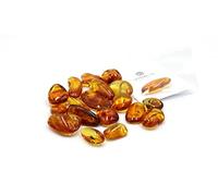 Generic Baltic Amber With Insect Trapped Millions of Years Ago - Certified Lithuanian Fossil