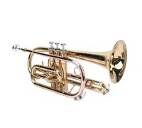 Generic Bb Trumpet Set Gold Phosphor Bronze Tuning Bright Clear Tone Orchestral Instrument with Box for Beginners Professionals