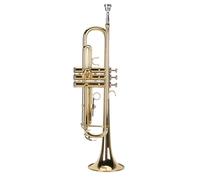 Generic Bb Trumpet Set Plated Brass Bass Trumpet with Mouthpiece Bright Tone Smooth Piston Valves Correct Pitch for Student Beginner Practice Band (Gold)