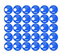 Generic Beehive Entrance Ventilated Disc for Protecting Bees From Rats, Easy Entry/Exit for Beehives, 30Pcs for Beekeeper Supplies (Blue)