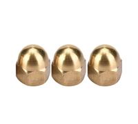 Generic Brass Acorn Nut Kit Dome Head Cap Hex Nuts Set, For Fix Tires And Axles Brass Cap Acorn Kit For Fix Tires And Axles (M6(20PCS))