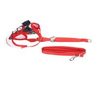 Generic Breathable Cat Vest Harness with Adjustable Leash, Cute Pet Harness for Daily Walks, Ideal for Cats 2.5-10kg (M)