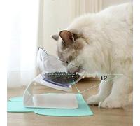 Generic Cat Bowls Pet Feeding Bowl Durable Fall Resistant 15 Degree Tilted Design Cat Water Food Bowl for Cats and Dogs Transparent Color 11x14.2x13.3cm (White)
