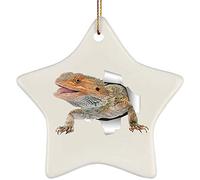 Generic Ceramic Christmas Baubles With Ribbon Christmas Xmas Tree Hanging Xmas Tree Decorations Funny Bearded Dragon Cute Coming Out Of Cracked Wall