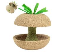 Generic Chew Toy for Hamsters - Gerbil Chew Toy, Hamster Chew Snack with Fruit Design to Clean Teeth | Natural Chew Toys and Treats for Chinchillas