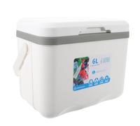 Generic Cooler Box, Insulated Picnic Basket, 6 L Pp Portable White Car-compatible Cooler Box for Picnics and Long Road Trips