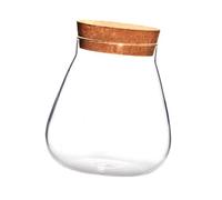Generic Decorative Glass Bottle with Cork Lid Storage Jar for Craft Ornament and Indoor Terrarium Plants