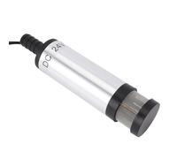 Generic Derv Fuel Transfer Pump Efficient Electric Submersible Drum Pump for Liquid Transfer Tasks Stainless Steel 1 Unit (24V Clip Tipe Extended Filter Screen Silver)
