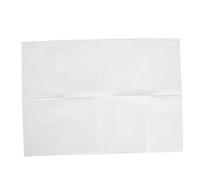 Generic Disposable Nail Art Table Towels, Portable Protectors to the Environment with Hygienable Dumps for Beauty for Patients (White)