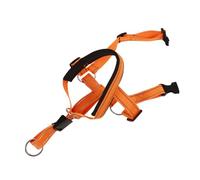 Generic Dog Muzzle Bichon Chihuahua Chewers Pets Muffs Puffer Muzzles Spaniel Collie Ear Stopper Dogs Breed Mastiff Biting Barking Protective Chewing Animals Puppy Muzzle Nylon Orange