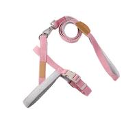 Generic Dog Training Leash, Dog Traction Belt, Strong Safety Guarantee for Medium Sized for Hiking or Walking with the (2.0CM)