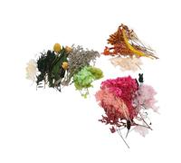 Generic Dried Flower Bundles, Artificial Flower for Decorating Different Occasion, Envelopes, Stationery, Candle Making, Scrapbooks, and More with Xmas Wreaths, Wedding Gifts, Photo