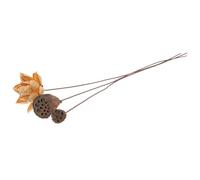 Generic Dried Lotus Flower Decor with Stems, Natural Preserved Lotus Pod Floral Arrangement for Home and Table Centerpiece, Zen Style Dried Flowers for Living Room Display