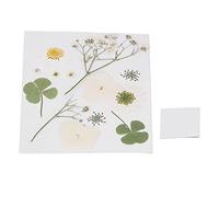 Generic Dried Pressed Flowers Planting Glue Planted Dry Bookmark Dried Garden Flower Cases Drying Blooms for Cellphone Cover Mobile Phone Papermaking