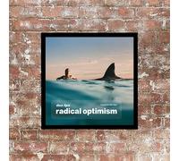 Generic Dua Lipa, Radical Optimism Album cover, poster, wall art. Print or Fully Framed Available. Actual size of original Vinyl Covers. (Framed)