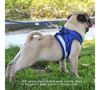 Generic Durable Dog Leash Steel Wire Rope for Pet Safety Outdoor Activities Picnics 5mm*5m (Blue)