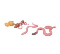 Generic Earthwarm Growth Cycle Model Educational Toy for Kids, 4 Stage Life Cycle Learning Aid, Detailed Plastic Figurines, Non- and Safe, 4 Pieces
