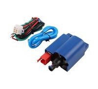 Generic EFI motorcycle 125 150 modified carburetor integrated intelligent igniter multi-boss universal