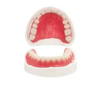 Generic Fake Teeth-Do It Yourself Denture-Top and Bottom Temporary Teeth, Easy and Convenient, Common to All situations