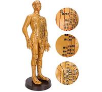 Generic Female and Male Acupuncture Point Models, Stable Base and Bracket, Ideal for Instruction and, 50cm and 53cm Heights, Made of Safe PVC (Man)