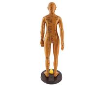 Generic Female and Male Acupuncture Point Models, Stable Base and Bracket, Ideal for Instruction and, 50cm and 53cm Heights, Made of Safe PVC (Woman)