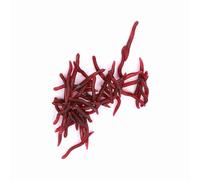 Generic Flexible Bloodworm Sea Bait Artificial Baits, 100pcs Pack Fishing Lure for Silver Carp (100pcs per pack)