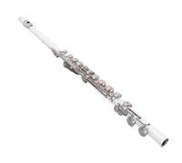 Generic Flutes, Closed Hole C 16 Keys Flute Instrument, White Copper Student Flute with Cleaning Kit, Carrying Case, Tuning Rod and Cloth for Beginner Advanced Player