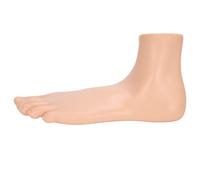 Generic Foot Model, Human Foot Skeletal Model Adults Lifesize Teaching Research Human Muscle Display Explain Accessories (Flatfoot)