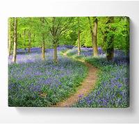 Generic Forest Walk Through The Bluebell Path Canvas Print Wall Art - 14 x 20 Inches