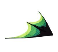 Generic Fun Prairie Triangle Kite for Kids and Adults Easy to Assemble and Fly Kite with Spiral Tail, Suitable for Coastal and Inland Cities, Entertainment Activity for Children and Adults