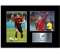 Generic Gavi Football Player Spain A4 Printed Signed Autograph Photo Mount Gift