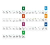 Generic Guitar Chords Card Set with 49 Durable Learning Cards for Beginners and Intermediate Players in Art Paper