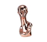 Generic Hat Display Holder Mannequin Head for Home Use, Rose Gold