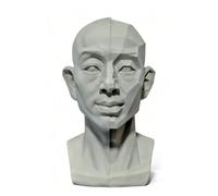 Generic Head Model for Artists, 2in1 Original & Planar Face, for Learning Planes and Light Details, Small Mannequin Manikin Head for Art Drawing Skecthing Study (Large(13.5cm))