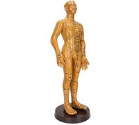 Generic Human Body Acupuncture Model for Teaching and Massage, Clear Lettering, PVC Material, Available in Male and Female Models, 50cm/19.7in, 53cm/20.9in (Man)